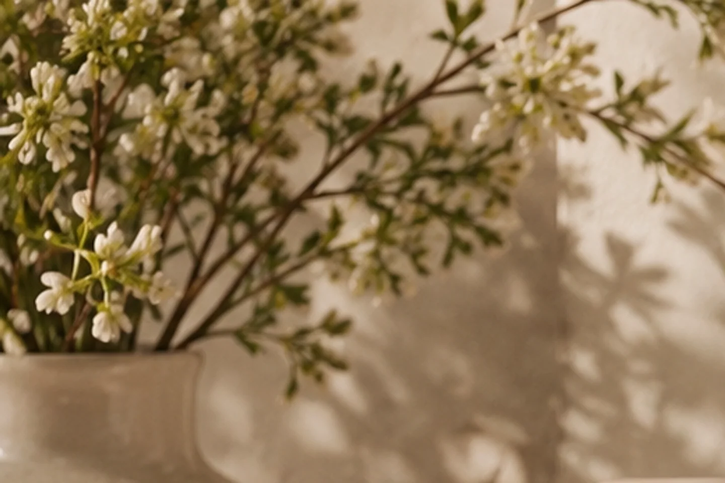 따뜻한 자연광과 흰 꽃이 만든 ONMEL 에디토리얼 장면